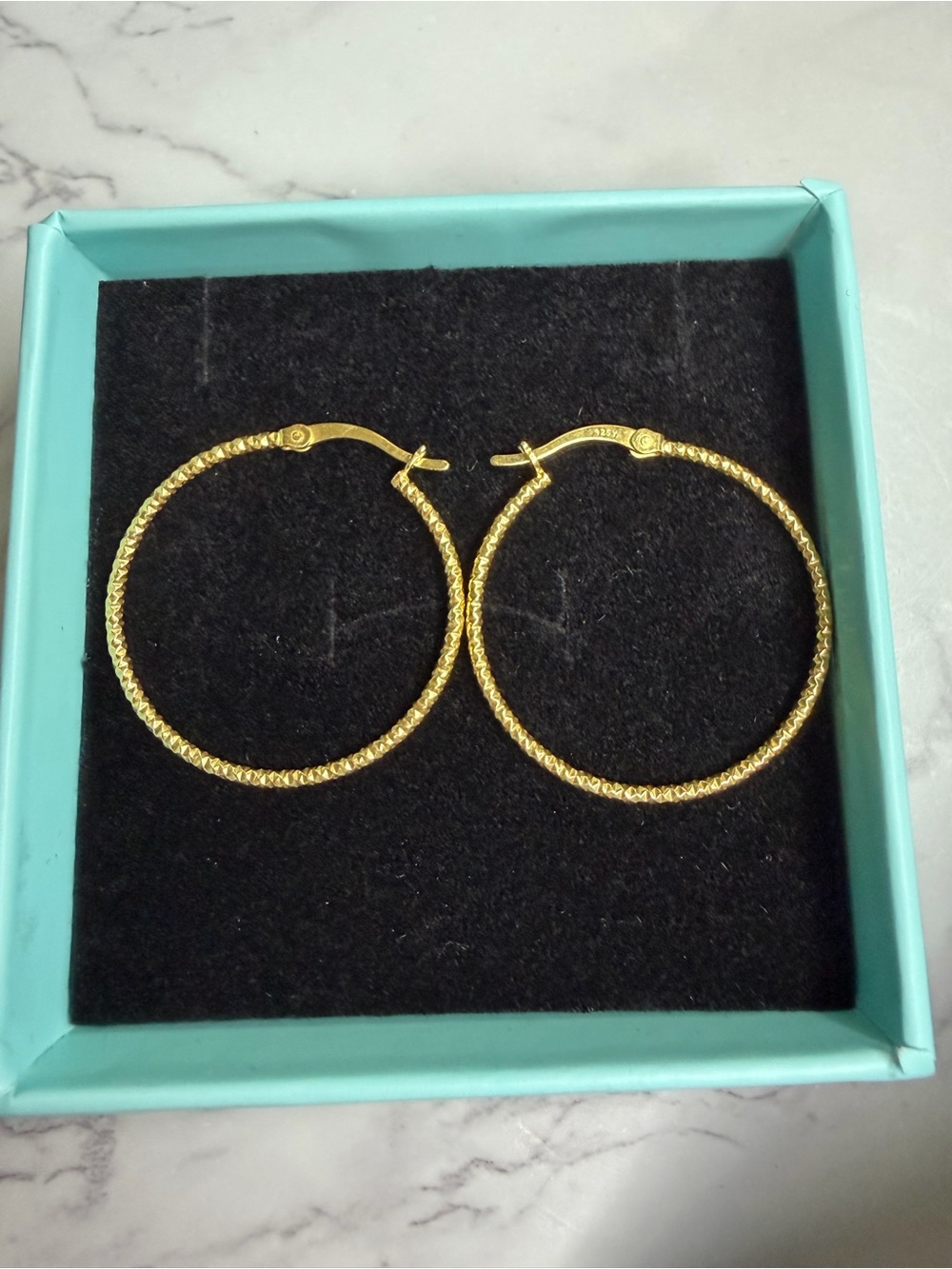 Brand New Hoop Earrings